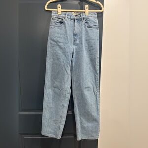 Everlane 26 The Way High Jean Light Blue Straight Leg Jeans